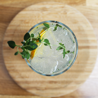 Lemon & Lime Gin 5cl, 70cl